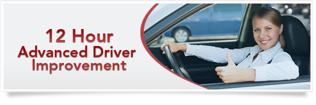 basic driver improvement course tampa